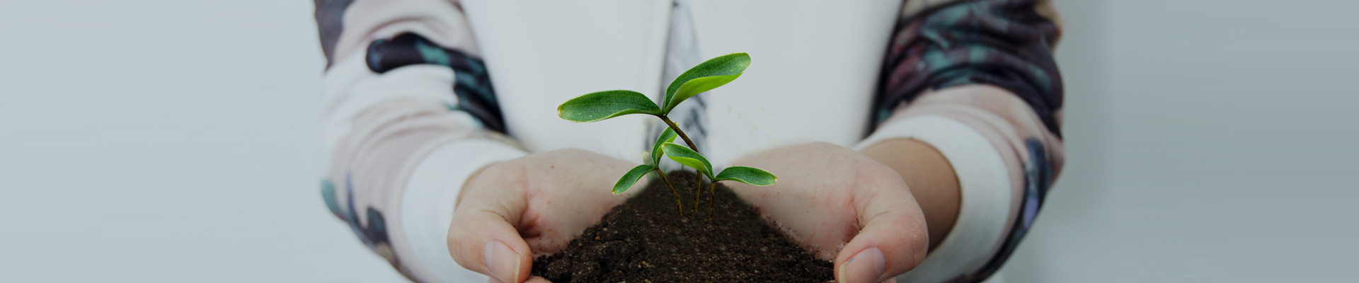 ���������ֿ��������