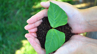 �������